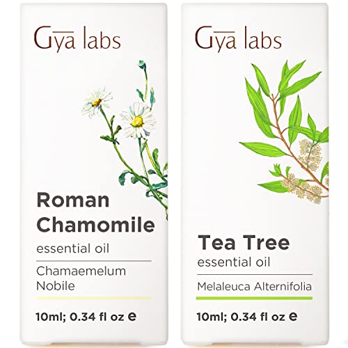 שמן קמומיל רומאי שמן עץ התה שמן - מעבדות GYA ניקוי עור מוגדר לטיפול בעור וטיפול באקנה - 100 שמנים אתרים