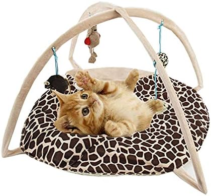 מרכז פעילות אוהל החתולים עם כדורי צעצועים לחתולים, מיט מיטה לחתול מיטה חתול חתלתול ציוד לחיות מחמד -