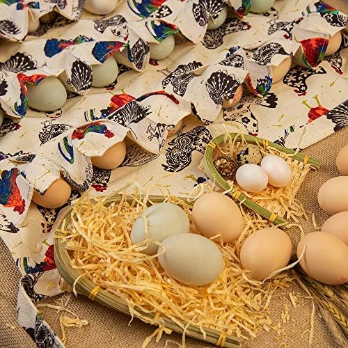 איסוף ביצים עמיד אטיוס סינר 18 כיסים עמוקים בד בד בד אווז ברווז יונה מחזיק ביצי פסחא איסוף סינר עוף