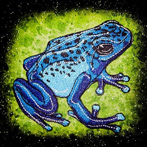 צפרדע רעל כחול צפרדע דנדרובס אזורוס ברזל על תיקון