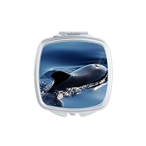 אוקיינוס מים ים לווייתן מדע טבע תמונה מראה נייד קומפקטי כיס איפור כפול צדדי זכוכית