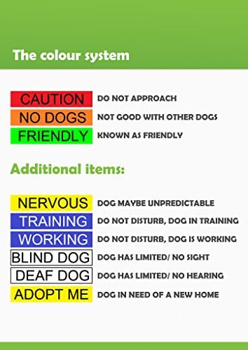 אין כלבים צבע כתום מקודד S-M L-XL צווארון כלב אבזם מונע תאונות על ידי אזהרה של אחרים מהכלב שלך מראש