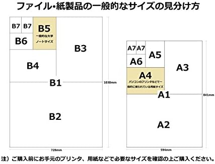 נאקבאיאשי קו-בי-סי-איי-401-די, א-4, קלסר בצורת ס, דו-קפל, שחור