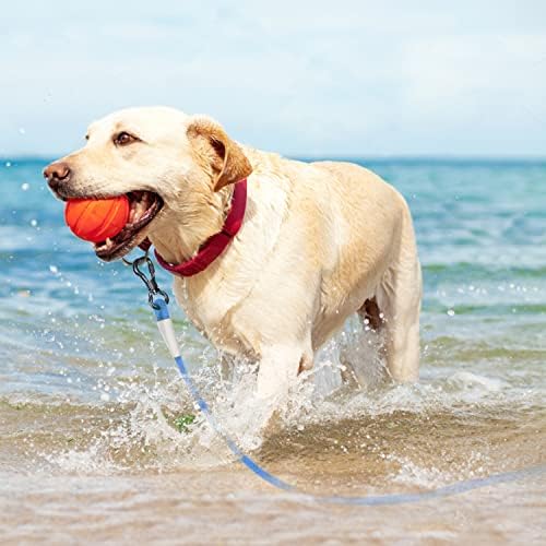 רצועת כלבים כבדה אטומה למים, חבל אימוני עופרת כלבים עמידים עם שטח רפלקטיבי, רצועות לכלבים גדולים בינוניים