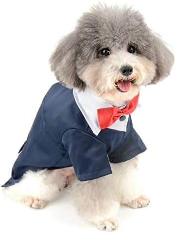 רנפי כלב קטן טוקסידו תלבושות ילד בגדי חיות מחמד גור עם טבעת טבעת טבעת טוקסי טוקס חולצה ג'נטלמן חליפת