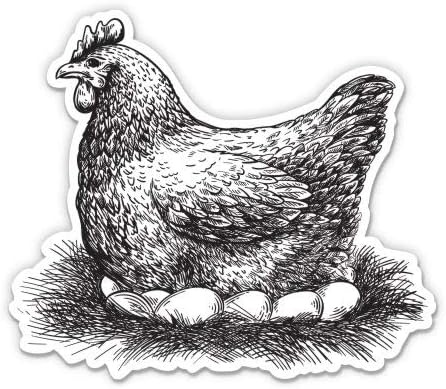 רישום תרנגולת ציור ביצי עוף - מדבקת ויניל 3 אינץ