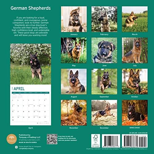 2023 רועים גרמניים לוח שנה קיר מדבקה חודשי לפי יום ברייט, 12 x 12 אינץ ', צילום חיות מחמד מקסים חמוד לכלבים