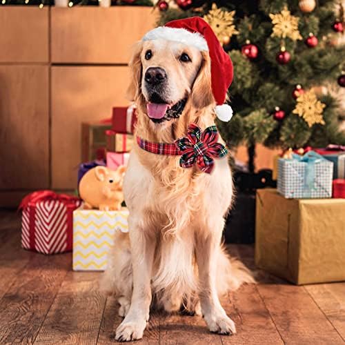 צווארון כלבי חג מולד מלכות עם פרח, צווארון כלבים משובץ באפלו קלאסי עם צווארוני חג מולד מתכווננים