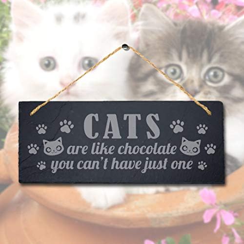חתולים הם כמו שוקולד אתה יכול לא לייזר חקוק תליית צפחה לחיות מחמד שלט סימן