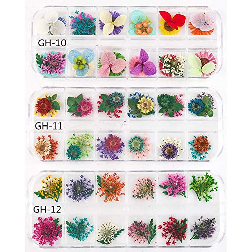 גוקופ 3 ד נייל אמנות מדבקות, 12 צבעים טבעי אמיתי יבש פרח, טבעי אמיתי יבש פרחים לציפורניים, פרח קישוטים, מדבקות