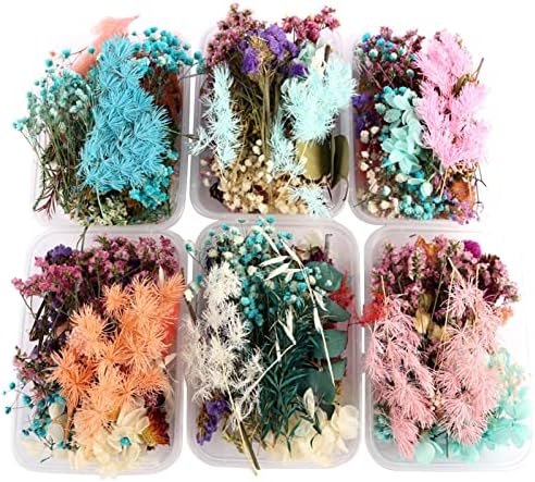 מסגרות תמונת עץ ZCMEB מסגרת פרחים מיובשת חומר צמחי פרחים מיובשים אמיתיים להכנת אביזרי DIY מלאכה