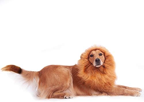 תחפושת לכלבים, תלבושות כלבים ליל כלבים רעמה אריה לכלבים גדולים בינוניים, תלבושות פאות אריה ריאליסטיות לכלבים,