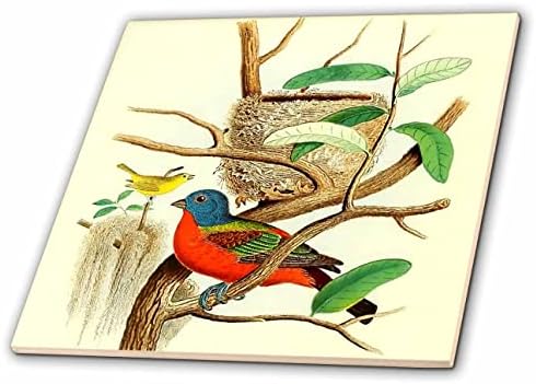 3 רוז בציר ציפור הדפסת צבוע גבתון צבעוני ציפורים אמנות איור-אריחים