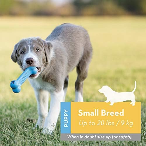 קונג-גור גודי עצם-בקיעת שיניים גומי, לטפל מחלק כלב צעצוע-עבור גורים קטנים-כחול