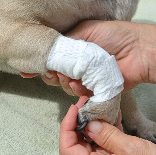 משותף כפות ותחבושות פצע שטח גדול עבור חתולי כלבים & מגבר; חיות מחמד אחרות. נהדר עבור רגל משותף נקעים זנב פציעות!