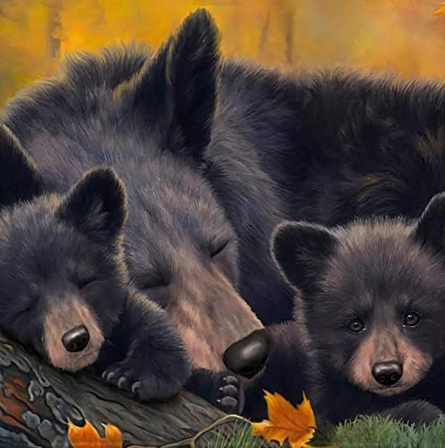 ציור יהלום 5D דוב מקדחה מלא דוב 16x16 אינץ