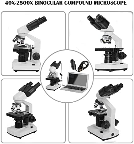 מיקרוסקופ מתחם משקפת פי 40-2500 עם עינית אלקטרונית, מיקרוסקופ מעבדה פי 10 ופי 25 עם שלב מכני