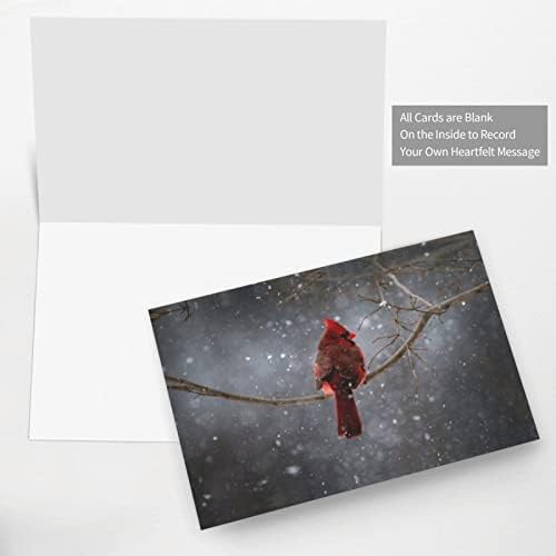 DICAPO ציפור אדומה כרטיסי תודה כרטיסי חג המולד כרטיסי יום הולדת כרטיסי ולנטיין כרטיסי כרטיסי חתונה הזמנות למסיבה.