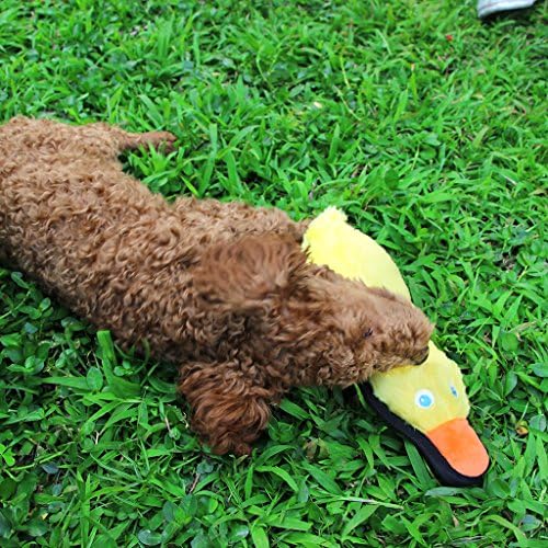 כלב צעצוע ברווז, עמיד חורק כלב צעצוע קטיפה כלב ברווז צעצוע, צהוב ברווז