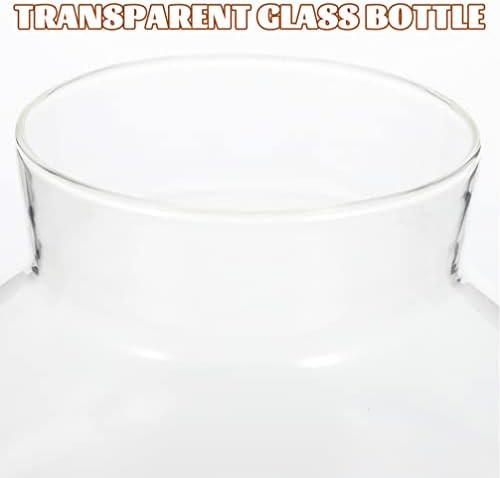 צמחי גנאזונו מעצבים מיכלי זכוכית 2 יחידות בקבוק זכוכית עם פקקי פקק DIY בקבוק אקולוגי ברור בקבוק