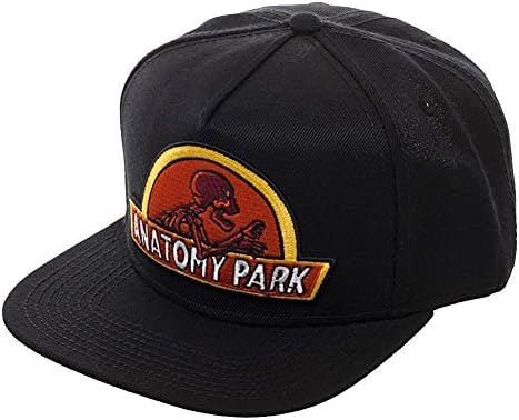 ריק ומורטי אנטומיה פארק לוגו כובע בייסבול