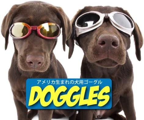 משקפי שמש משקפי שמש משקפי כלבים בעדשת קאם / עשן ירוקה גדולה