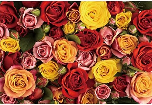 Oerju 10x6.5ft רקע ורד אדום צהוב ורוד ורוד 3d צילום פרחים רקע רקע פרחוני ילדה פרחנית מסיבת יום הולדת