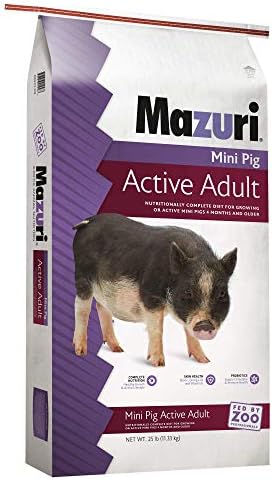 מזורי / תזונתי מלא מיני חזיר פעיל למבוגרים מזון / 25 קילו תיק