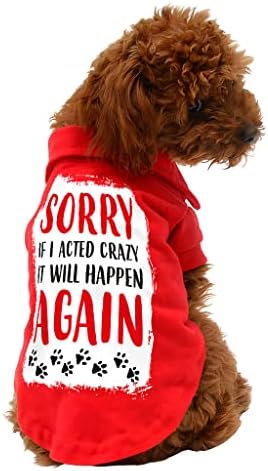 חולצת פולו כלבים משוגעת-חולצת טריקו כלבים מצחיקה-בגדי כלבים צבעוניים