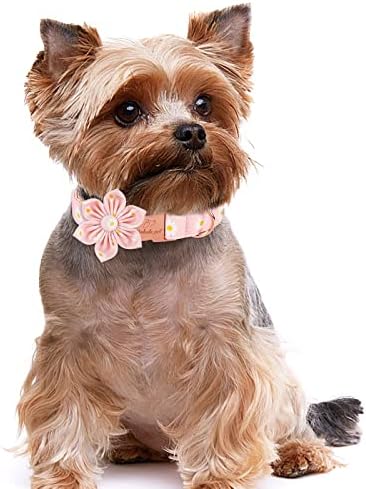 צווארון כלב חיות מחמד של Babole עם עניבת פרחי חיננית ורודה, צווארון כלבי כותנה עם אבזם מתכת בטיחותית צווארוני