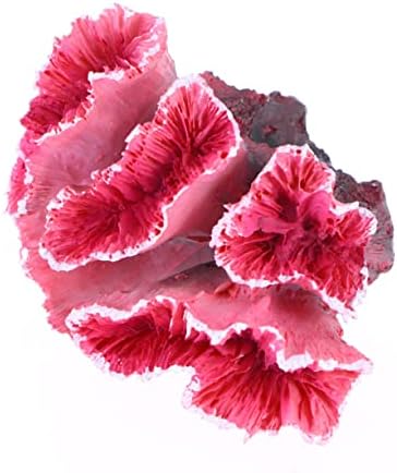 4 יחידות יפה אביזרי דקור רעיל צמחים מאוורר עבור מחבוא פרח בטליזרדסרטיםזוחלים של קרפט מלוחים דקור שוניות