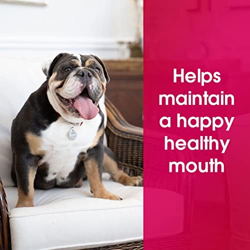 מטהר נשימת כלב פה אדיר כלב של יום שישי. קל כלב שיניים טיפול, רק להוסיף מים קערה! רע נשימה טיפול לכלבים