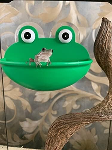 זואלה צפרדע בית גידול, חמוד צפרדע צורת דגי טנק קישוט עם יניקה כוסות עבור קרפדה / צפרדע/שממית / צב / ראשן /