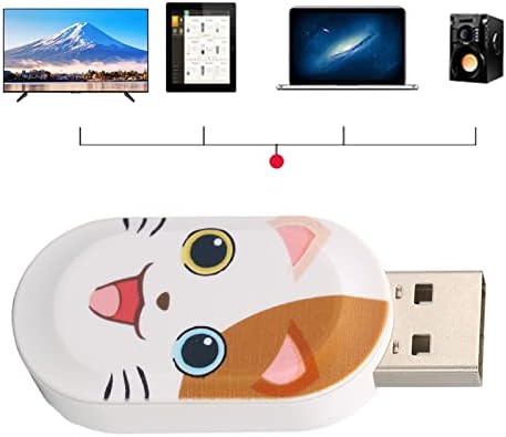 כונן הבזק USB, דפוס חתול חידוש סופר חמוד U דיסק USB 2.0 כונן אחסון זיכרון מקל כונן אגודל, מתנות לסטודנטים,