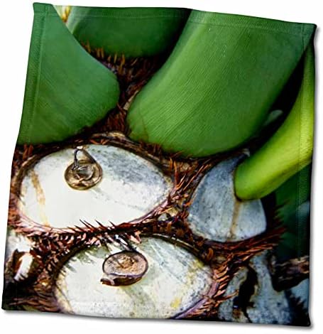 3 דרוז פלורידה - תמונה של צמח מאקרו ירוק ולבן מופשט - מגבות
