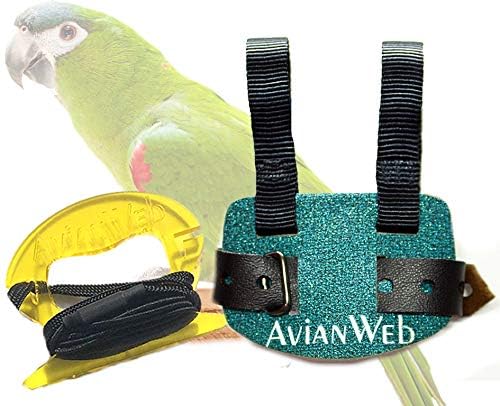 רתמת ציפורים של EZ Macaw עם רצועה של 8 רגל