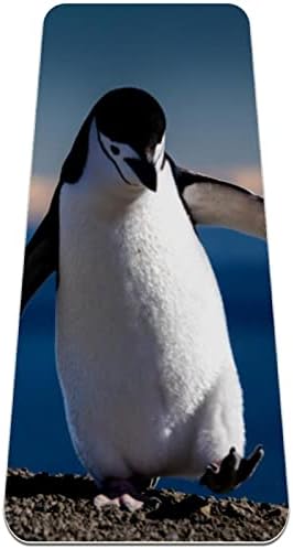 פינגווין באנטארקטיקה יוגה מחצלת עבה תרגיל אימון מחצלת, החלקה גריפ פילאטיס מחצלות מדמיע עמיד