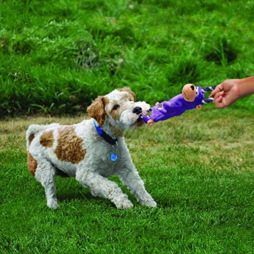 KONG - TUGGER קשרים איילים - משיכת צעצוע של כלבי מלחמה, מלית מינימלית וחבלים לולאה לתוספת חוזק - לכלבים בינוניים/גדולים
