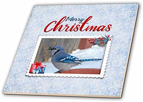3תמונת רוז של ג ' יי כחול, עם זרע, מתנות, הולי על מסגרת, חג מולד שמח-אריחים