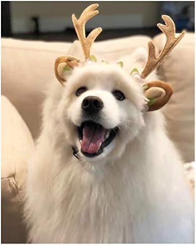 המניה להראות כלב חתול חג המולד תלבושות איילי סרט תלבושות עם פרחי חג המולד מתכוונן קרני איילים אוזני לביש