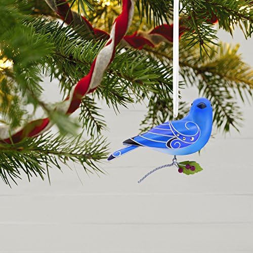 סימן היכר 1595 9355 יופי של ציפורים 13 הר ציפור כחולה מזכרת קישוטי חג המולד