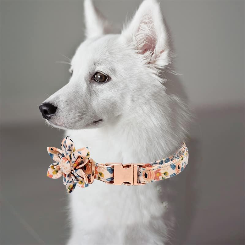 צווארון כלבים של צ'ארמסונג עם קשת לצווארון כלב גורים כלב חמוד כלב צווארוני פרפר צווארון עם אבזם