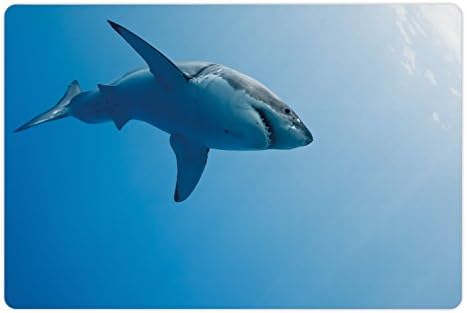 אמבסון כריש לחיות מחמד מחצלת עבור מזון ומים, דגים שחייה בים מתחת למים יופי טרופי אי מים טבע נוף,
