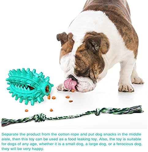 FEGOCLT CACTUS בצורת כלבים צעצועים לעיסה של חבל כותנה נשלף מברשת שיניים חיות מחמד רכה גומי