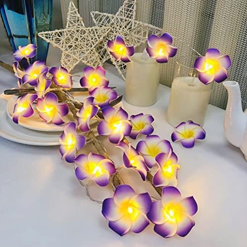 מלאכותי פלומריה מחרוזת אור הוואי קצף פרנגיפאני פרח פיות אור סוללה מופעל עבור מסיבת חג המולד בית חתונה