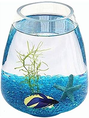 Twdyc זכוכית טנק דגים משרד שולחן עבודה יצירתי מיכל דגים קטן אקולוגי זכוכית שקופה