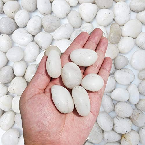 מ ' - קפיצה 2 פאונד 1 - 2 גודל חצץ אבנים דקורטיביות טבעיות חלוקי נחל לבנים מלוטשים משתמשים