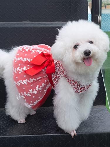 Qwinee Mesh Bow Bow Dog Princess שמלת חצאית כלבים חמודה לכלבי ילדה יום הולדת חתונה תחפושת חג מולד לכלבים