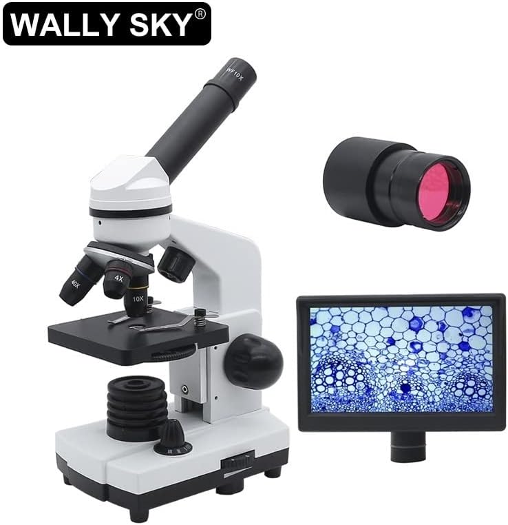 מעבדה מיקרוסקופ ציוד מיקרוסקופ עינית פי 10/20 רחב זווית עינית ממשק 30 ממ מיקרוסקופ אבזרים