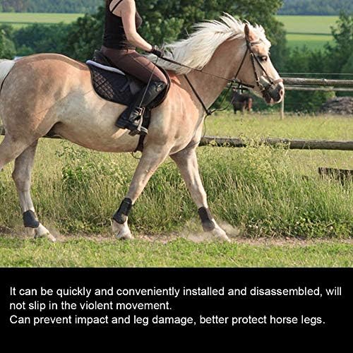 מגף סוס, מגפי גיד סוס ופטלוק, בטנת חומר ניאופרן 2 זוגות חזקים ועמידים למניעת פגיעה במניעת נזק לרגליים
